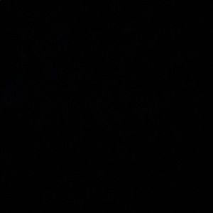 Meet your Posher, Ivan